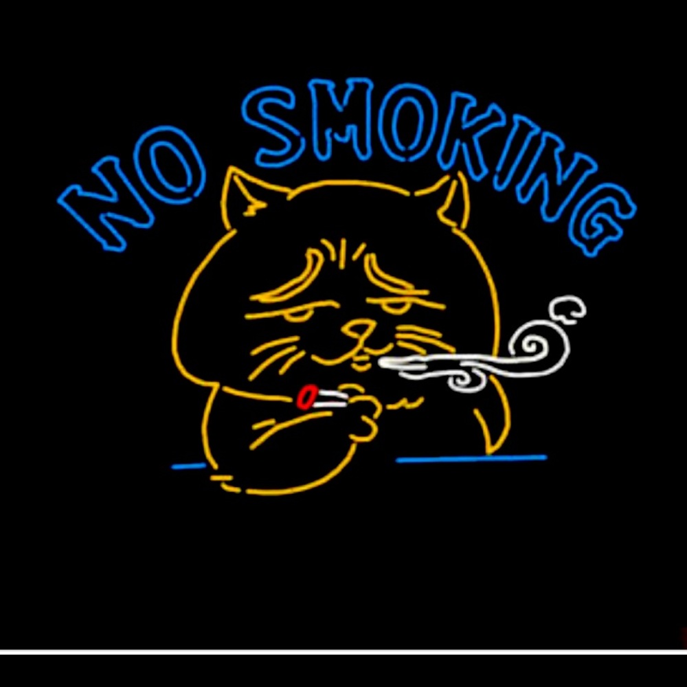 Smoke and Pet Fur Free Home